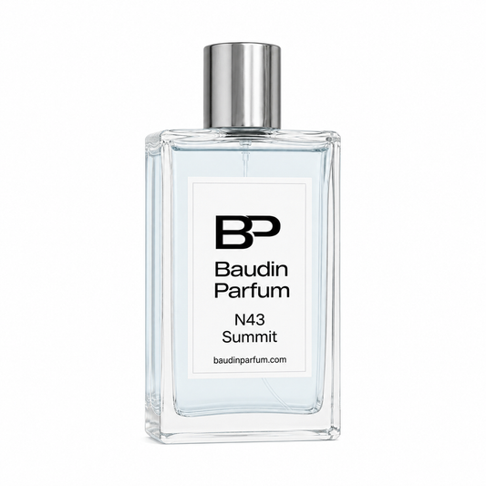 BAUDIN 43 SUMMIT EDP