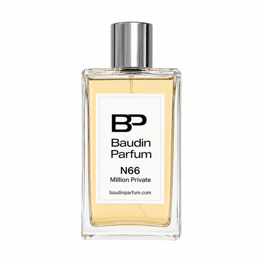 BAUDIN 66 MILLION PRIVATE EDP
